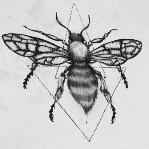 #bee #bees #art #tattoo #drawing #inspiration 