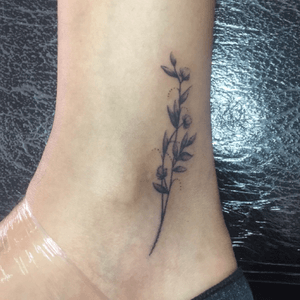 #blackandgrey #plants #flowers #flowertattoo #shadows #ankletattoo #smalltattoo #fineline #finetattoo #smooth #tattoo #tattoolife #tattooartist #inked #eikondevice 