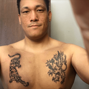 Gryphon and tiger tattoos. My first and second, respectively. #chest #chesttattoo #gryphon #Griffin #tiger #firsttatoo #moobs #bigeffingasian