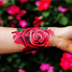 Love the colors #rose #flower #pinkflower #watercolor 