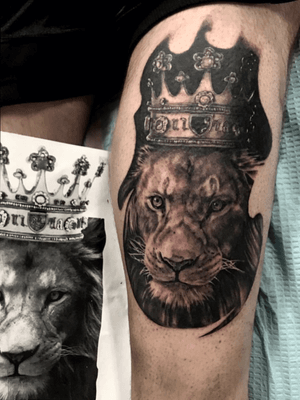 #leo #lion #liontattoo #kingofthejungle  #blackandgrey by @omoori of @pushtattoos