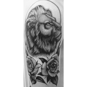 Lion and roses