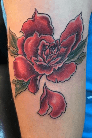 #red #rose 