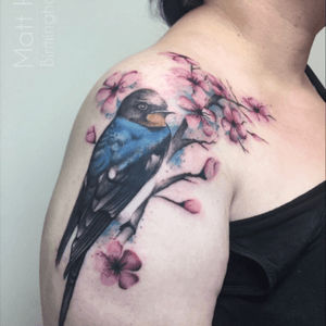 Swallow and cherry blossoms