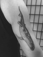 #tattoo #linework #lineworktattoo #minimaltattoo #minimalistic #blackandgrey #blackandgreytattoo #geometry #geometrytattoo #blackwork #whale #whaletattoo 