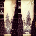 #megandreamtattoo  I'm hoping to get a tattoo like this with tamarack trees in the background and a wolf or two in the foreground. It would have a lot of significance to me.