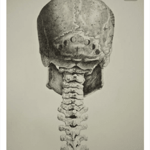 This vintage anatomy drawing with a twist from Andy van Dinh is going to be my next tattoo! #megandreamtattoo