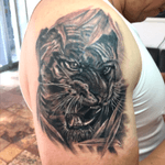 #realism #tattoo #tigertattoo #inklife #inked #ink #shouldertattoo #blackandgreytattoo #mexican #sullenclothing #cheyennehawkpen #eikondevice #tattooartist 