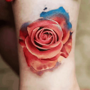 #rose #peachrose #watercolor 
