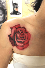 Rosa rose 