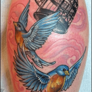 Would love to have this done by @amijames in memory if my friend Denise Byrd but with Red Birds.  #dreamtatto 