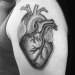 #heart #anatomicalheart #blackwork #tattoosbyrodrigocanteras #lovehatenewyork 