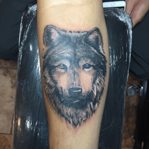 #realism #blackandgreytattoo #wolf#forearm #tattoolife #wolftattoo #inklife #mexico #tattoo #tattooartist #inked #shadows #mexican #queretaro #cheyennehawkpen 