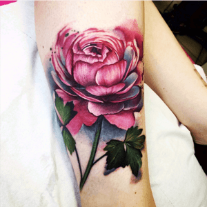 By Lianne Moule #flower #rose 