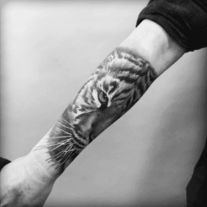 Tiger tattoo, by Radek Kubalik, Contrast Ink tattoo, Norway. #tiger #tigertattoo #tattoodo #contrastinktattoo #tattoo #realistic #norway #tattoostudio 