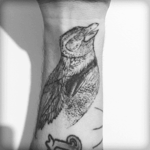 The bird that changed it all #tattoo #bird #firsttattoo by Geem 