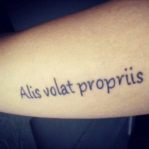 Escrita latim (Voa com suas próprias assas) #tattoo#escritastattoo#escrita#tatto#art#like4like 