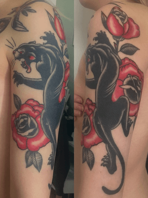 Panther and roses from Brian Kelly