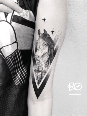 By RO. Robert Pavez • Sweet Horse ➖ Studio Zoi tattoo Stockholm 🇸🇪 • 2018  • #engraving #dotwork #etching #dot #linework #geometric #ro #blackwork #blackworktattoo #blackandgrey #black #tattoo #fineline