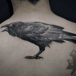Crow #crow #theexpendable #corvo #ta2 #tatoo #tattoo #tatuagem #tatuagens #tatuagi #tattooed #tattoos #toptattoo #toptattoos #tattooofinstagram #lovetattoo #artenapele #arte #ink #inked #instattoo #instatoo #tattooart #tattooartist #tattooist #jecktattoo #jecktatuagens #blackandgrey #blackandgreytattoos 