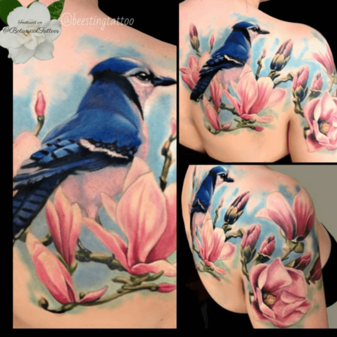 Blue jay tattoo  Blue jay tattoo, Body art tattoos, Beautiful flower  tattoos