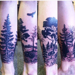 Forest trees leg 