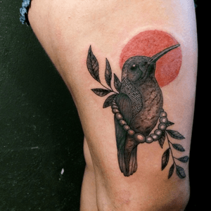 Hummingbird • May, 2018 #hummingbird 