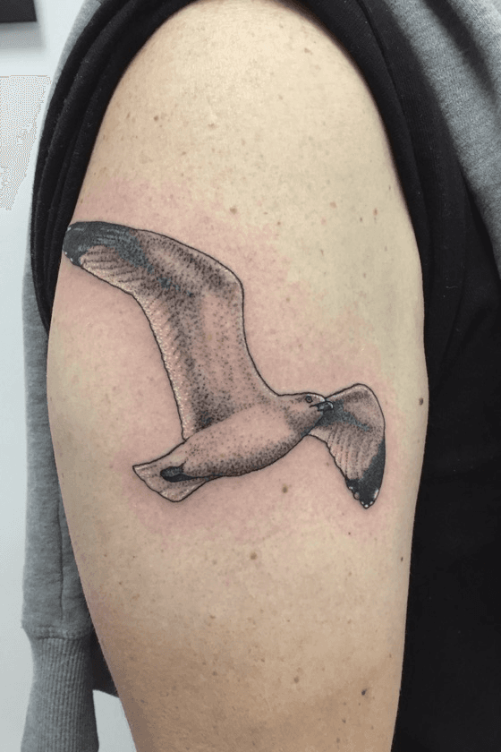 Top more than 63 albatross tattoo design latest  thtantai2