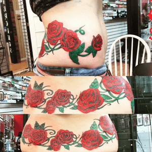 Touched up my beautiful roses a couple months back