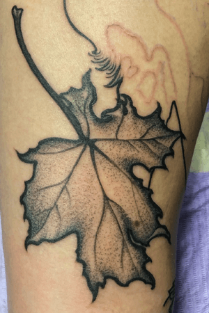 Black and grey illustrative realistic maple leaf.  Part of a sleeve in progress