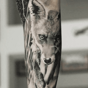 Want to have a fox and robin colab on my arm 💕