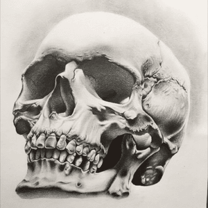 #skull #skulldrawing #bones #blackandgrey #death #tattooapprentice 