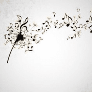 #music #dandelion 
