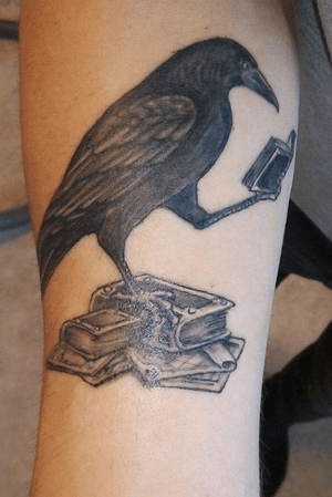 Raven reading a book #raven #book