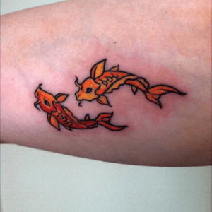 Couple small koi on the inside of my right bicep.