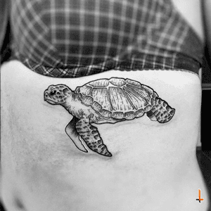Nº223 Tatturtle (the first one of this year) #tattoo #ink #turtle #turtletattoo #reptile #shell #ectotherms #marine #biology #marinebiologist #ocean #animal #2017 #bylazlodasilva