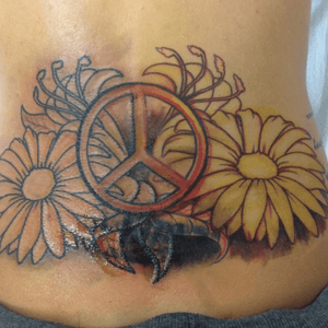 Cover up-waiting on color