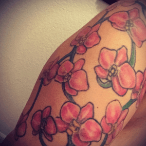 6year old Orchid on my left arm 