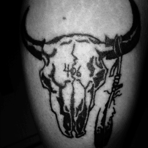 Montana pride cow skull