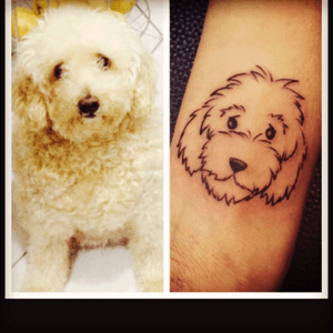 To my best and forever friend 🐩❤️ missya #dogportrait #dogtattoo #tattoo #kikotattoorj #kikogavea @mariliamonteiro #besttattooartists #braziliantattoo #femaletattoo #sweet #mydog 