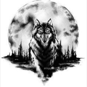 Lone Wolf #megandreamtattoo #dreamtattoo #butincolour 