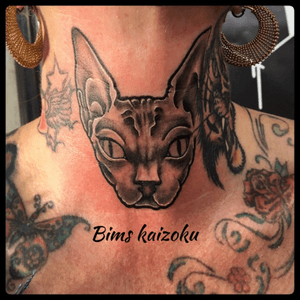 Fait à la convention de #stmalo @corsairtattooink #bims #bimstattoo #bimskaizoku #cat #chat #sphynx #sphynxcat #animal #blackandgrey #tatouage #corsairink2016  #paristattoo  #tattoos #tattooartist #tattoo #tatted #tattooart #tatts #tattooer #tattooedgirls #tattooed #ink #inked #inkedgirl #paris #paname #france #french