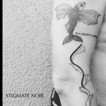 #flyingfish #engraving / #woodcut #stigmatenoir #tattooistparis #frenchtattooist #tatoueur #tatoueurparis #botanic #occult #magickplant #naturalist #fish #latin #engraved #lines #gravure