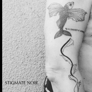 #flyingfish #engraving / #woodcut #stigmatenoir #tattooistparis #frenchtattooist #tatoueur #tatoueurparis #botanic #occult #magickplant #naturalist #fish #latin #engraved #lines #gravure