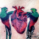 Quetzal and heart tattoo #tattoo #marianagroning #karmatattoo #cdmx #MexicoCity #watercolor #watercolortattoo #watercolortattooartist #heart #quetzal #bird #birdtattoo 
