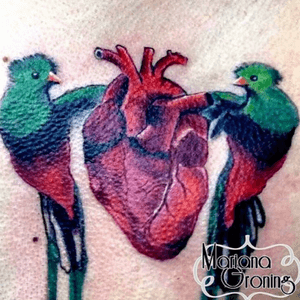 Quetzal and heart tattoo#tattoo #marianagroning #karmatattoo #cdmx #MexicoCity #watercolor #watercolortattoo #watercolortattooartist #heart #quetzal #bird #birdtattoo 