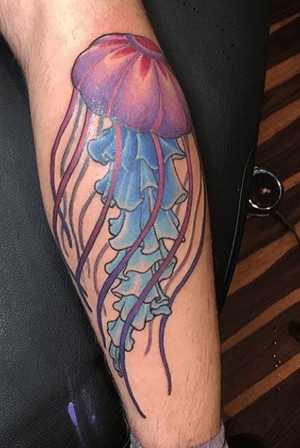 jelly fish just after being finished by tad coleman 