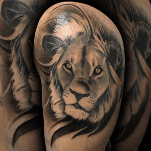 Lion healed, background fresh #lion #liontattoo #realistic #blackandgrey 