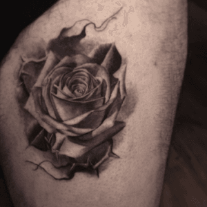 #blackandgrey #rose #ErickHolguin #thorns #realism 