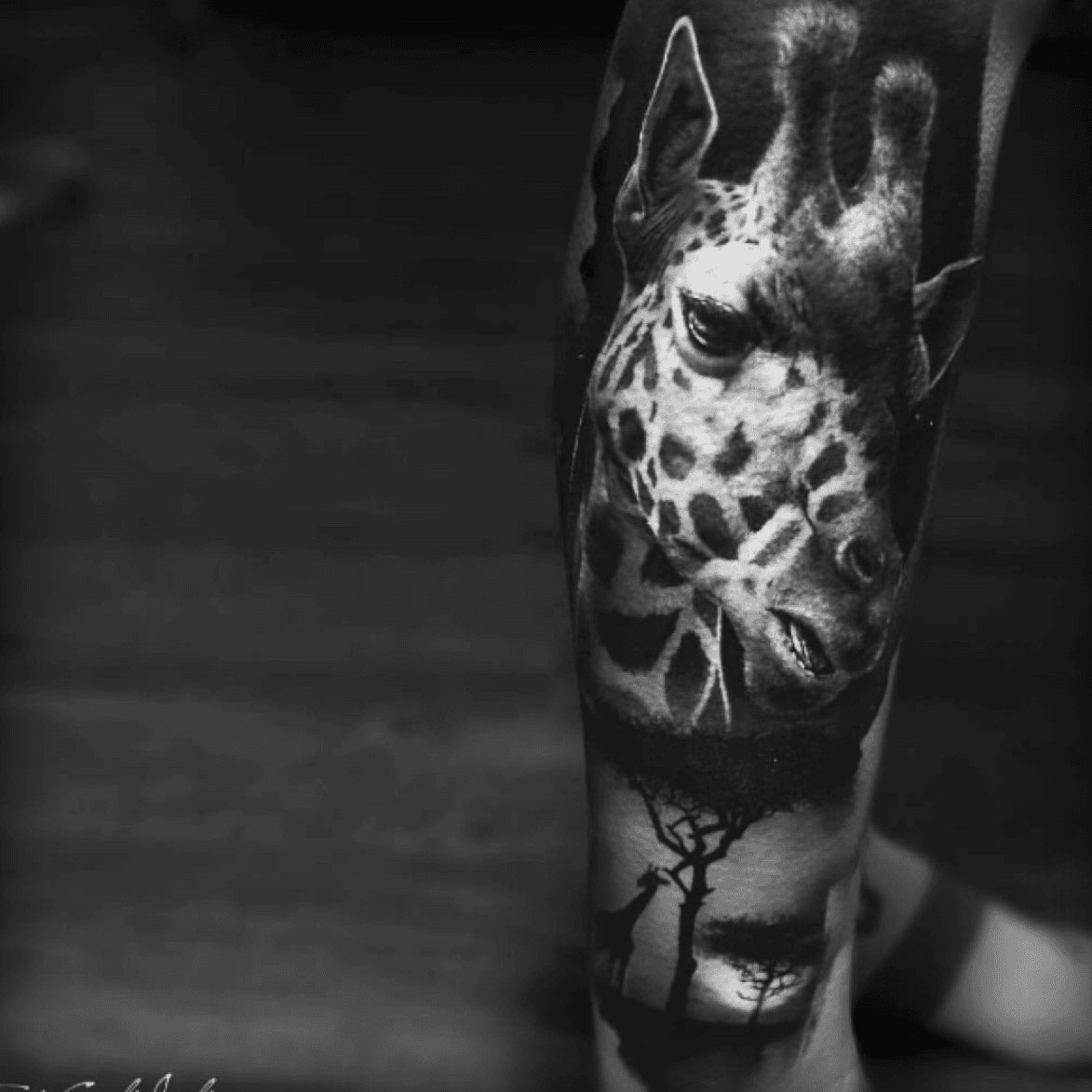 50 Amazing Zebra Tattoos with Meaning  Body Art Guru